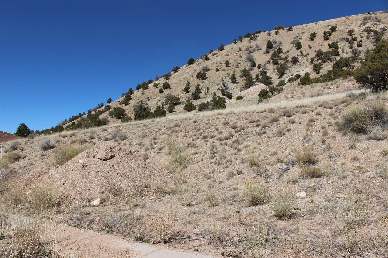 https://bt-photos.global.ssl.fastly.net/wasatch/1280_boomver_1_2155619-1.jpg
