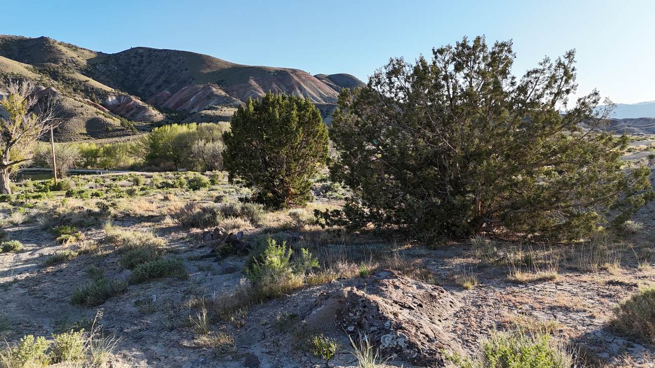 https://bt-photos.global.ssl.fastly.net/wasatch/1280_boomver_1_2155623-1.jpg