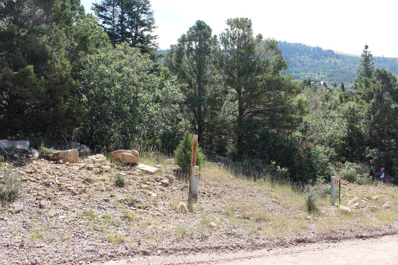 2289 High Mountain Dr - Photo 1
