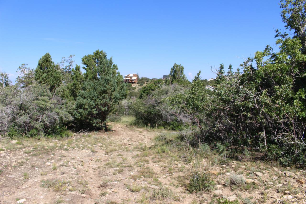 https://bt-photos.global.ssl.fastly.net/wasatch/1280_boomver_1_2155637-1.jpg