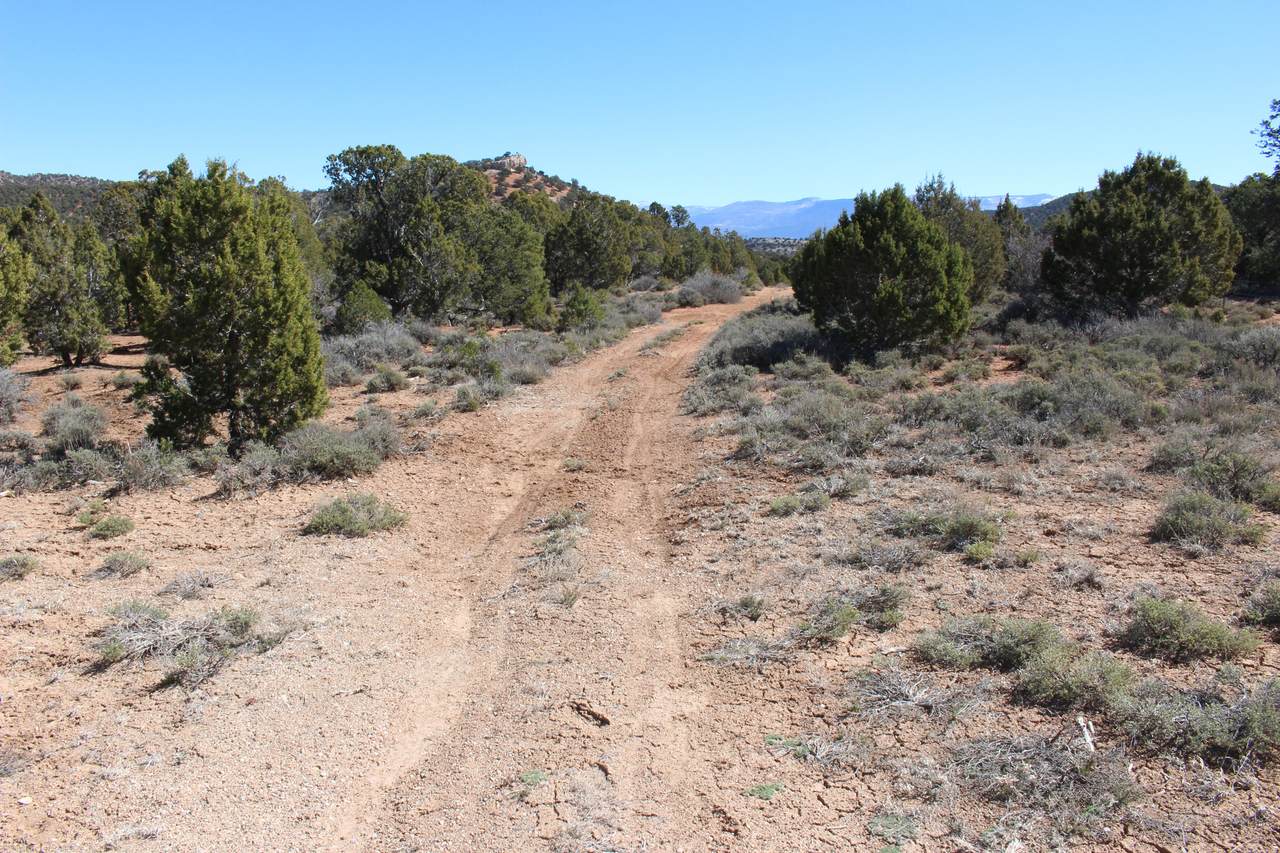 https://bt-photos.global.ssl.fastly.net/wasatch/1280_boomver_1_2155796-1.jpg