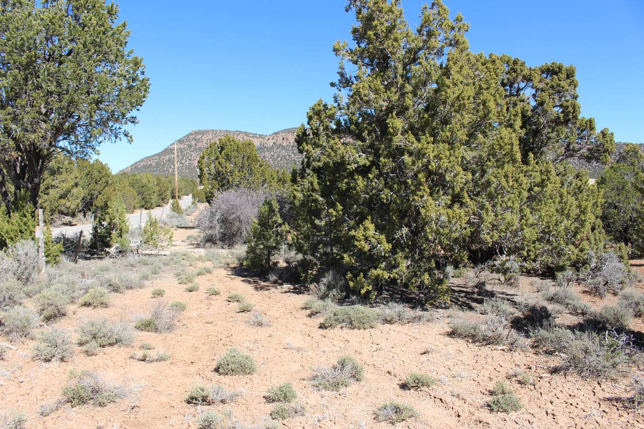 https://bt-photos.global.ssl.fastly.net/wasatch/1280_boomver_1_2155796-1.jpg