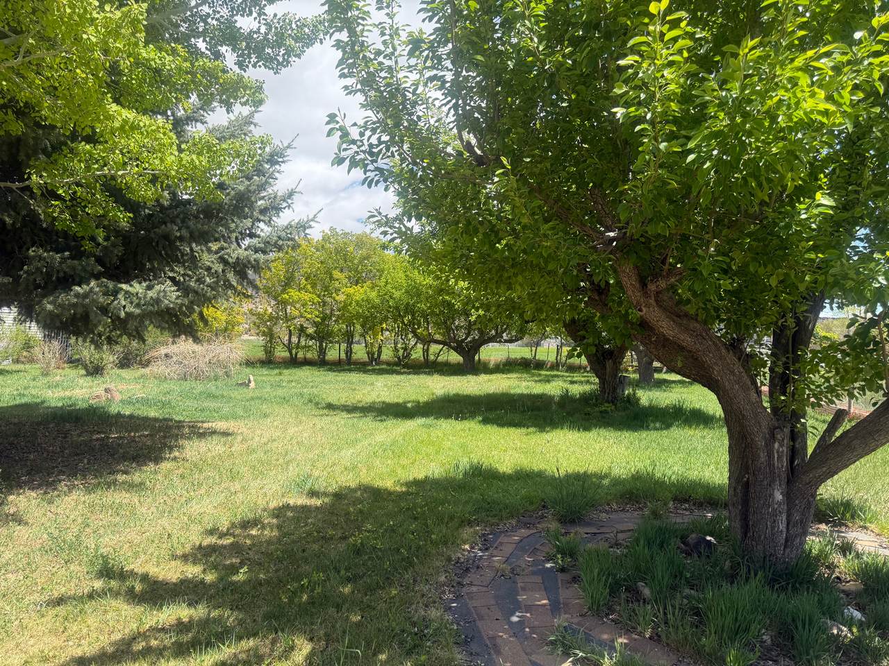 https://bt-photos.global.ssl.fastly.net/wasatch/1280_boomver_1_2155935-1.jpg