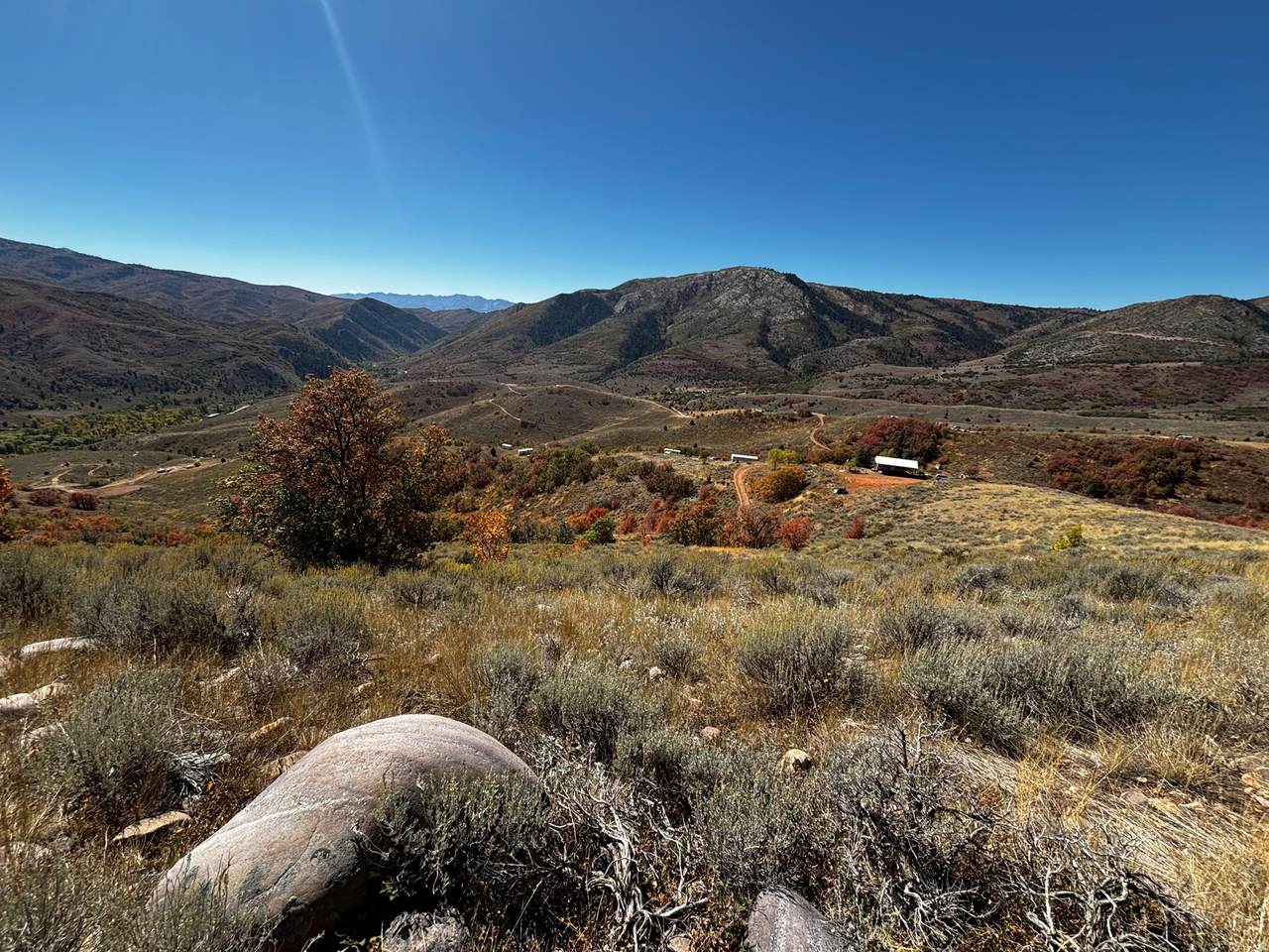 12668 High Pine Cir - Photo 1