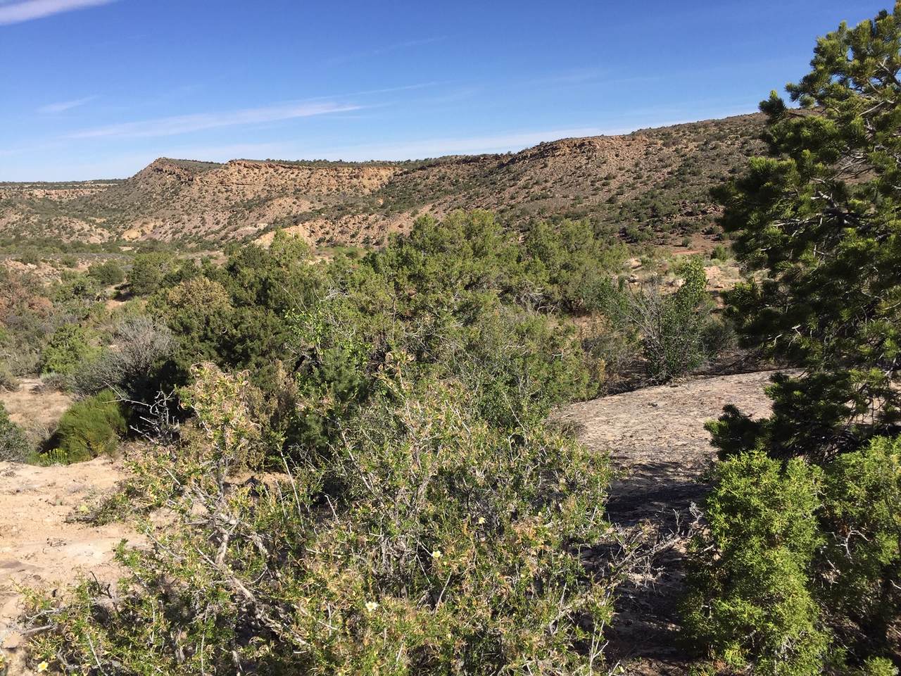 https://bt-photos.global.ssl.fastly.net/wasatch/1280_boomver_1_2156341-1.jpg