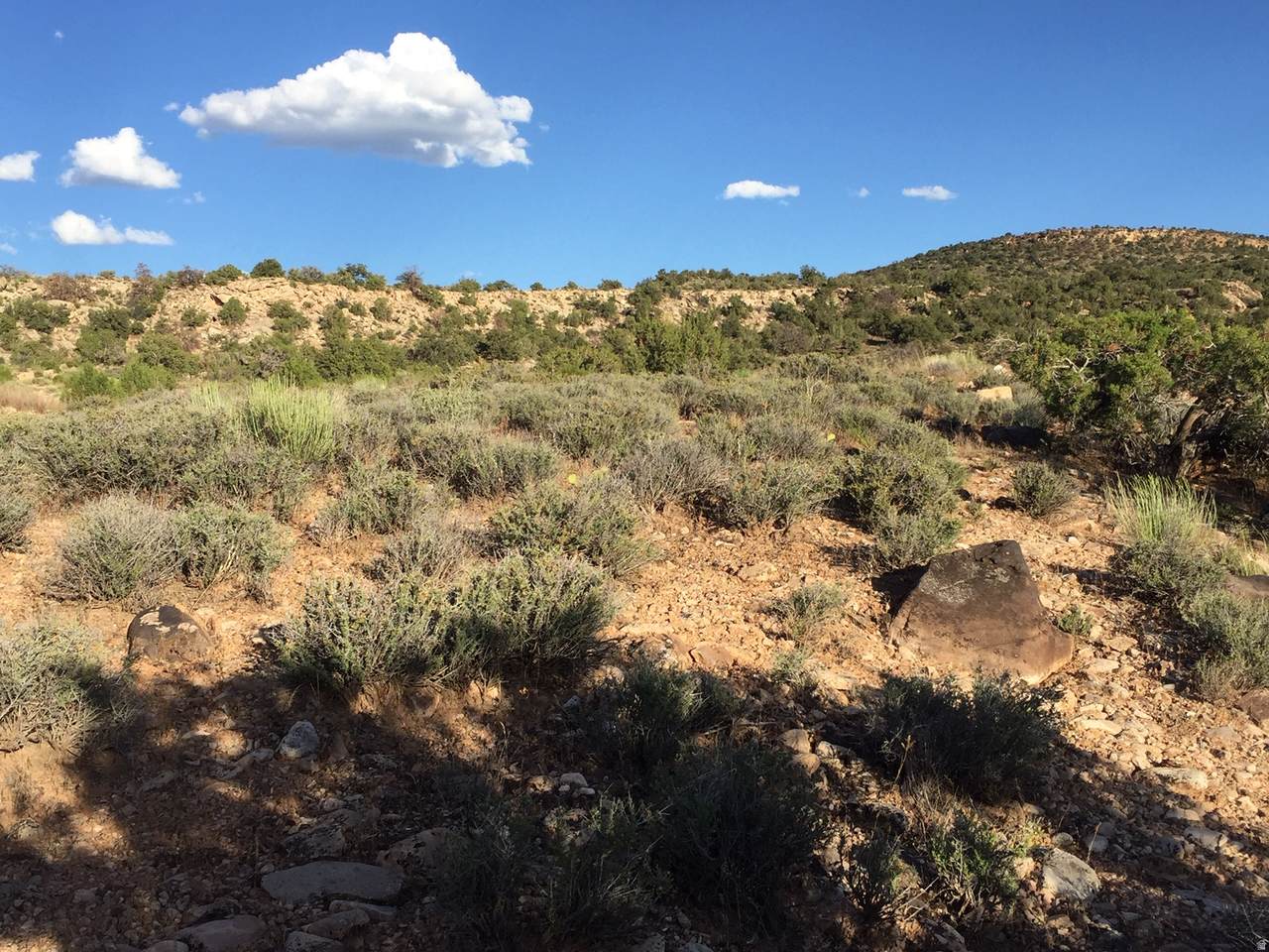 https://bt-photos.global.ssl.fastly.net/wasatch/1280_boomver_1_2156341-1.jpg