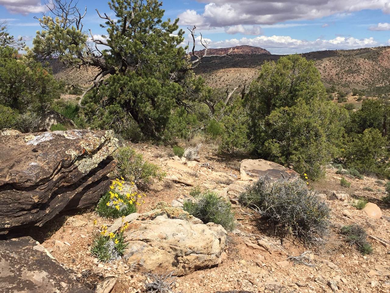 https://bt-photos.global.ssl.fastly.net/wasatch/1280_boomver_1_2156343-1.jpg