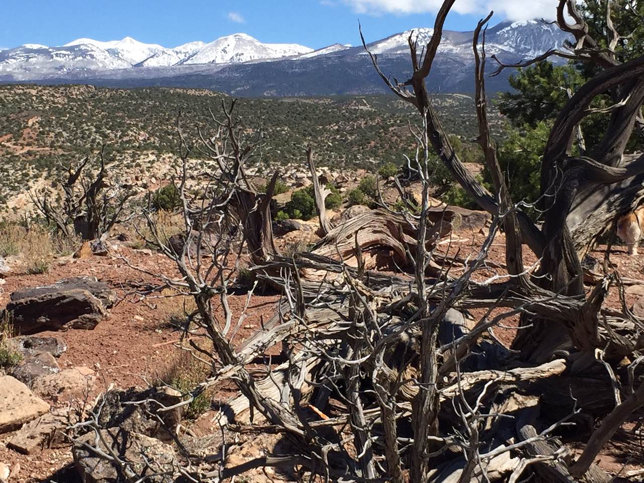 https://bt-photos.global.ssl.fastly.net/wasatch/1280_boomver_1_2156346-1.jpg