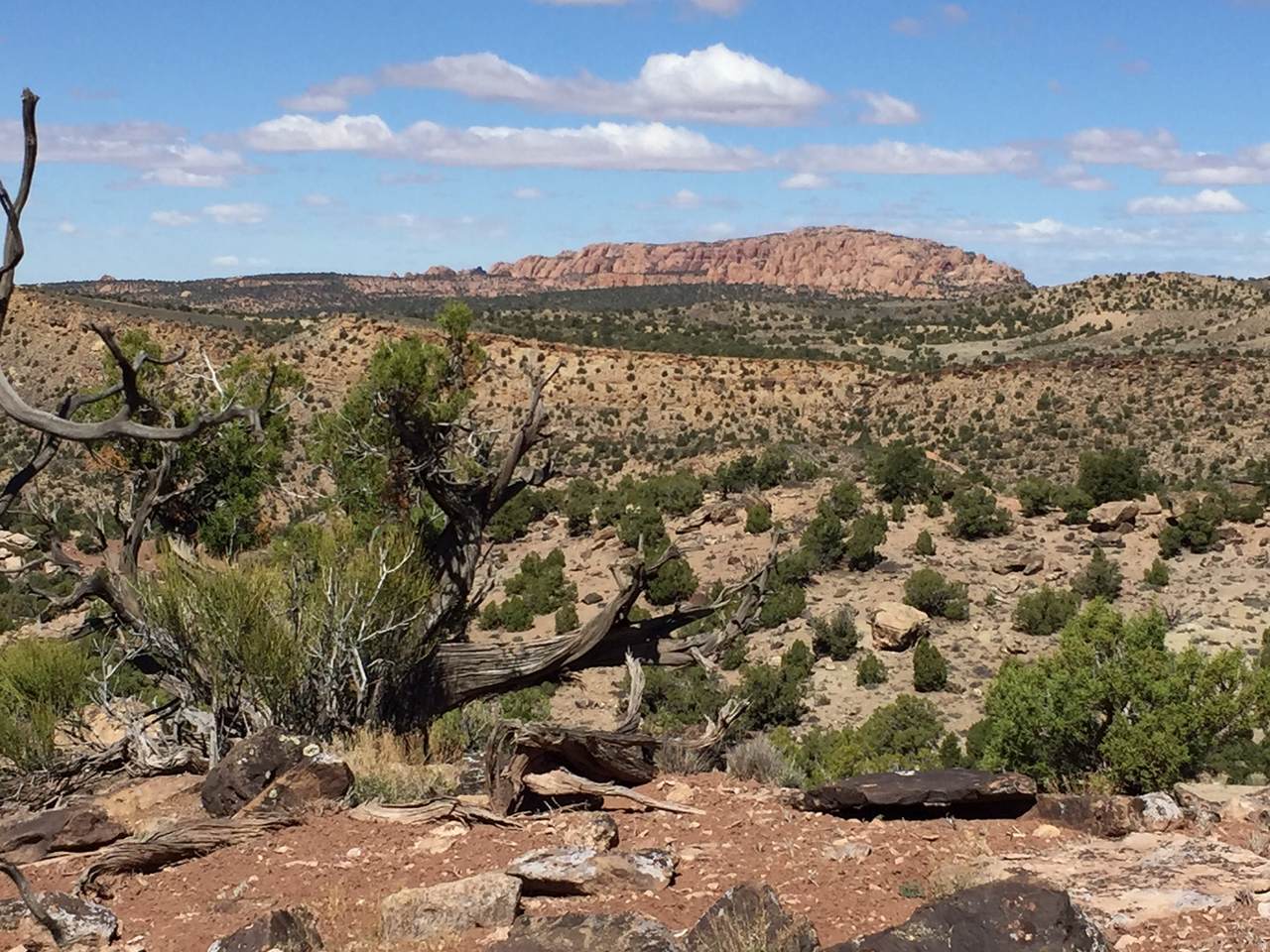 https://bt-photos.global.ssl.fastly.net/wasatch/1280_boomver_1_2156346-1.jpg