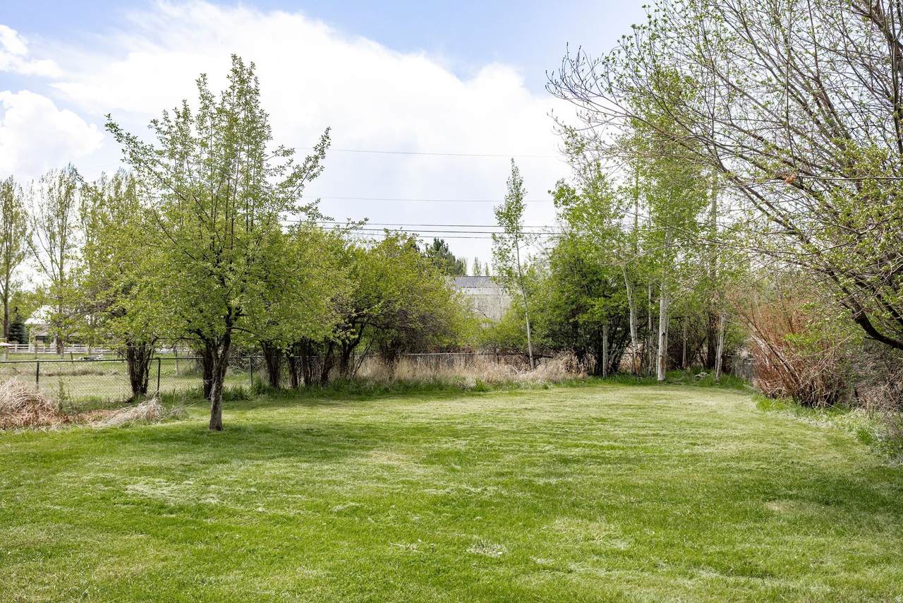 https://bt-photos.global.ssl.fastly.net/wasatch/1280_boomver_1_2156725-1.jpg