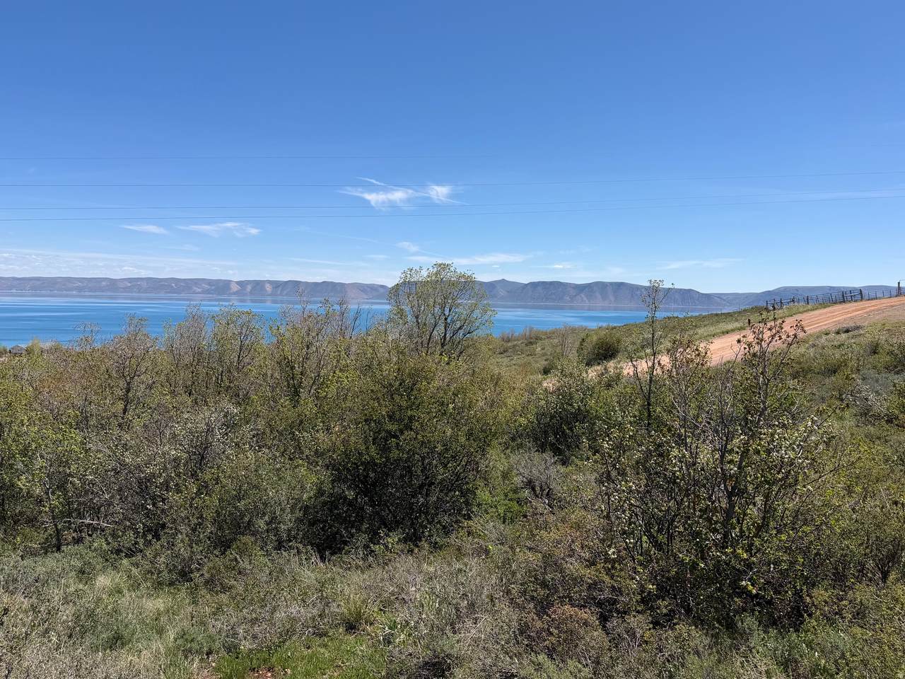 1317 Trapper Loop - Photo 1