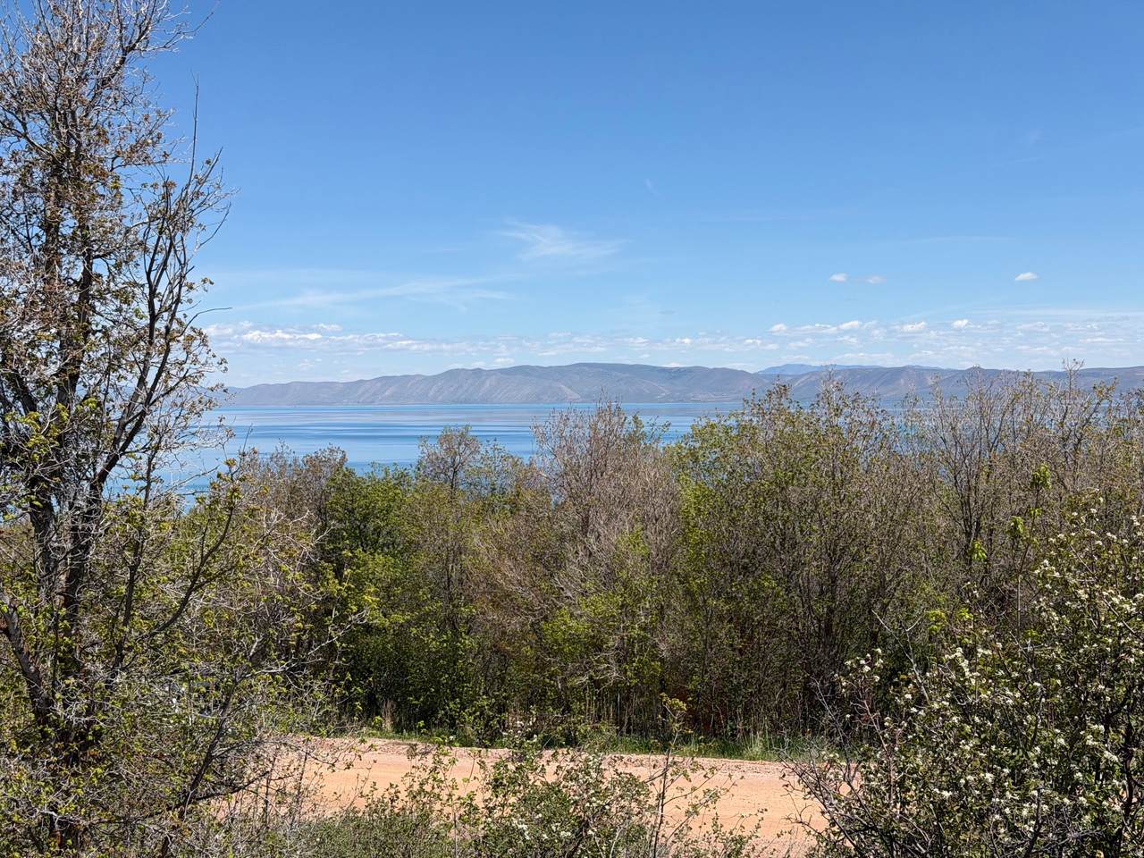 https://bt-photos.global.ssl.fastly.net/wasatch/1280_boomver_1_2156809-1.jpg