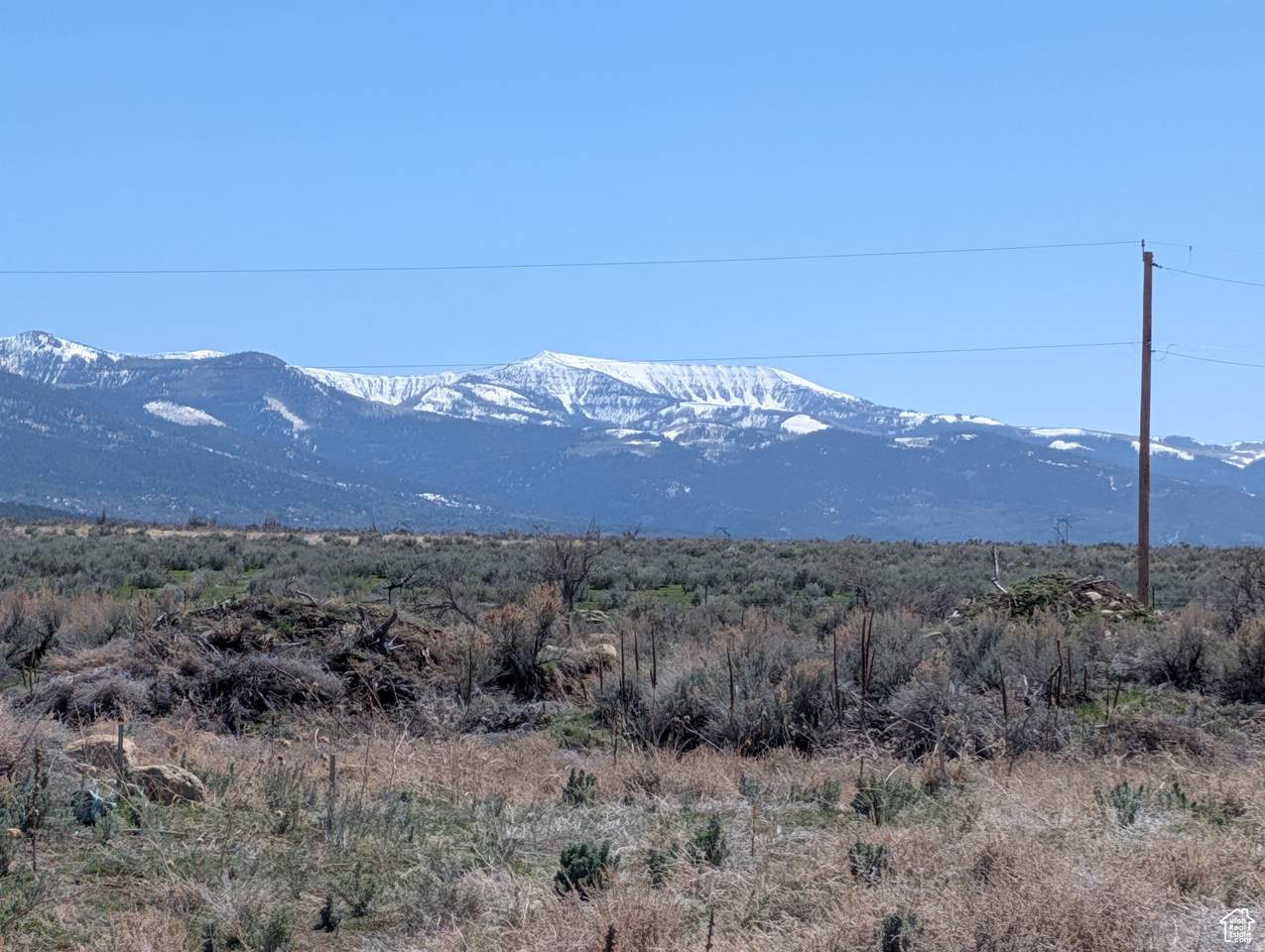 11799 Cove Creek Rd - Photo 1