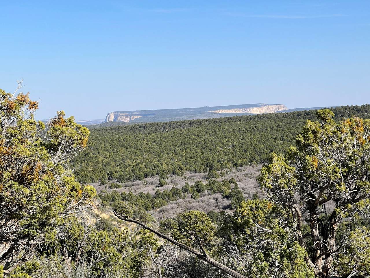 39 Upper Lick Rd - Photo 1