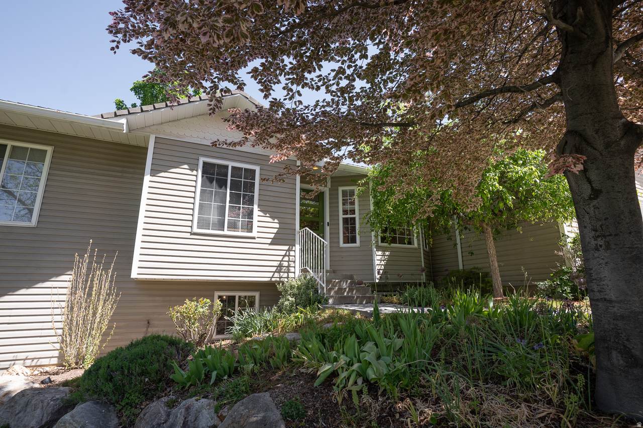 249 300 - Photo 1
