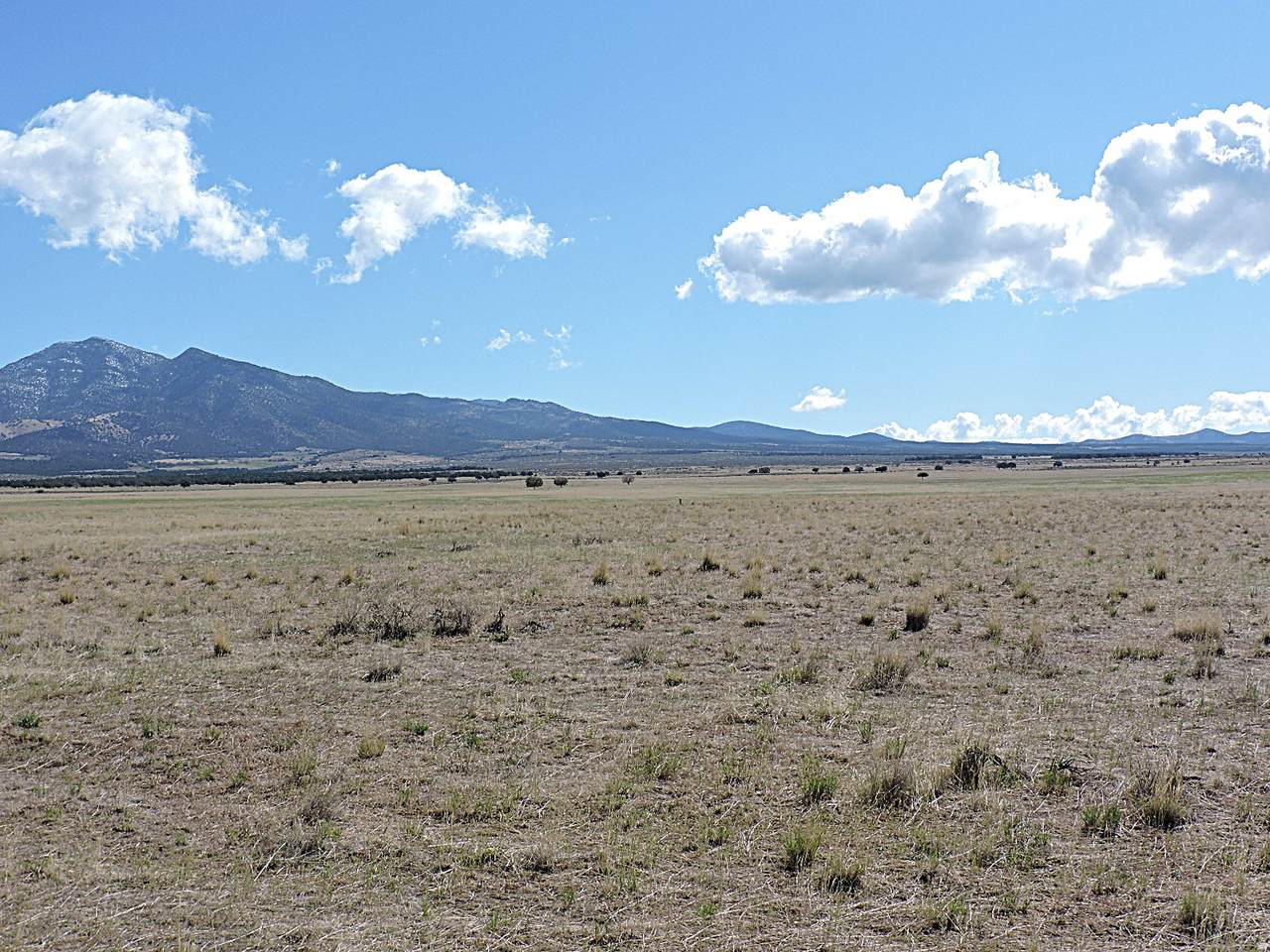 https://bt-photos.global.ssl.fastly.net/wasatch/1280_boomver_1_2159084-1.jpg