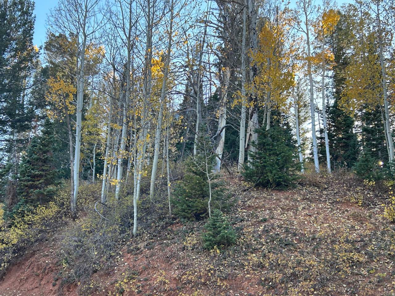 https://bt-photos.global.ssl.fastly.net/wasatch/1280_boomver_1_2159112-1.jpg