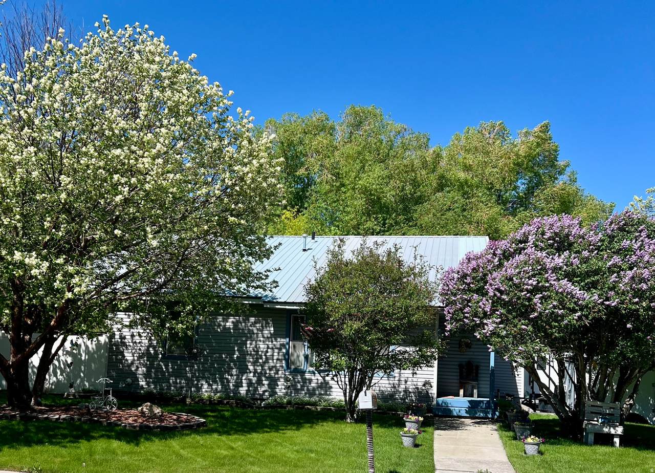 329 Monsanto Blvd - Photo 1