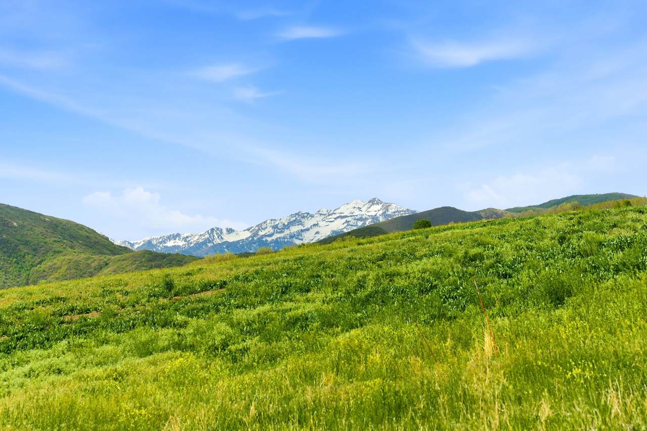 https://bt-photos.global.ssl.fastly.net/wasatch/1280_boomver_1_2160164-1.jpg