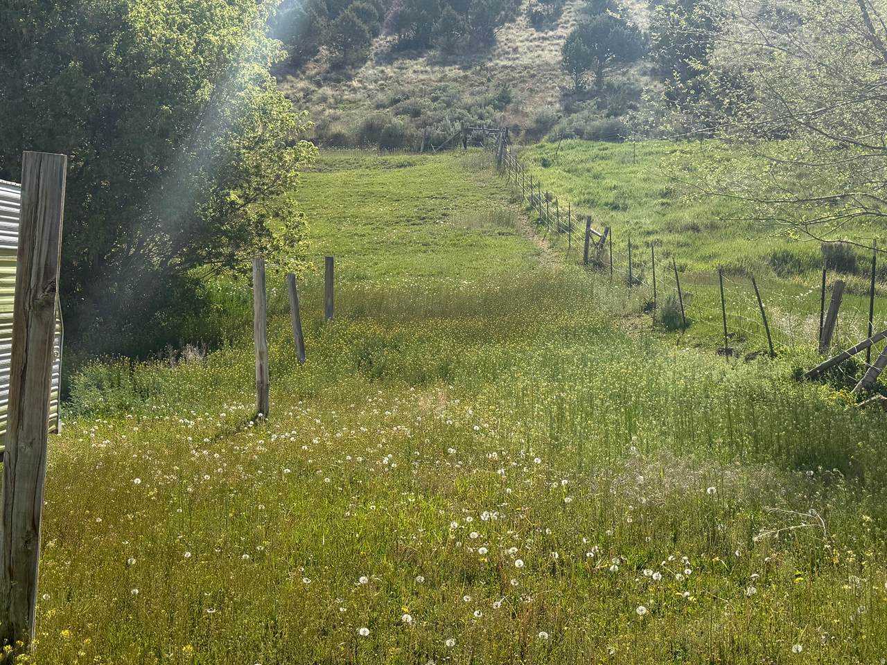 https://bt-photos.global.ssl.fastly.net/wasatch/1280_boomver_1_2160185-1.jpg