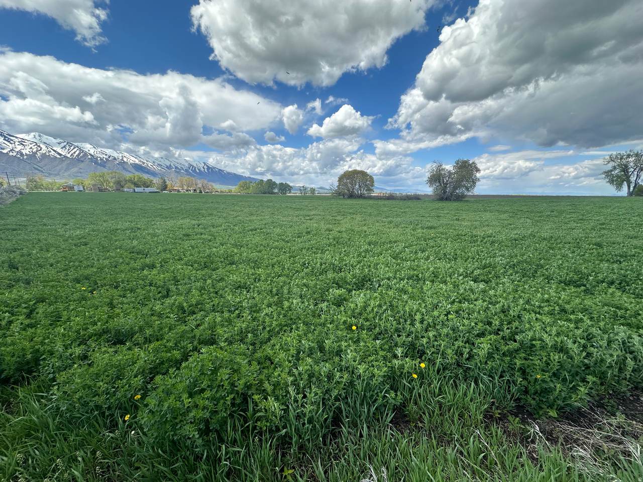 https://bt-photos.global.ssl.fastly.net/wasatch/1280_boomver_1_2160360-1.jpg