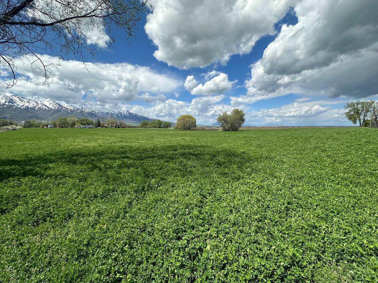 https://bt-photos.global.ssl.fastly.net/wasatch/1280_boomver_1_2160360-1.jpg