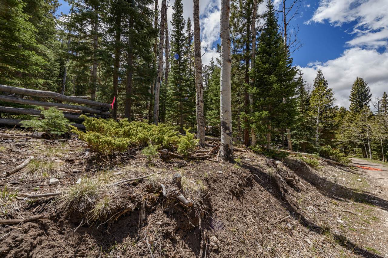 https://bt-photos.global.ssl.fastly.net/wasatch/1280_boomver_1_2160547-1.jpg