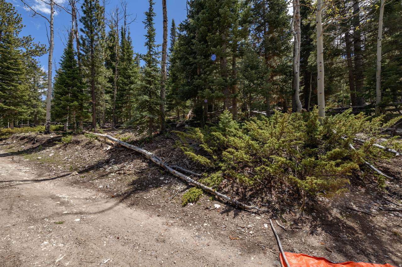 https://bt-photos.global.ssl.fastly.net/wasatch/1280_boomver_1_2160547-1.jpg