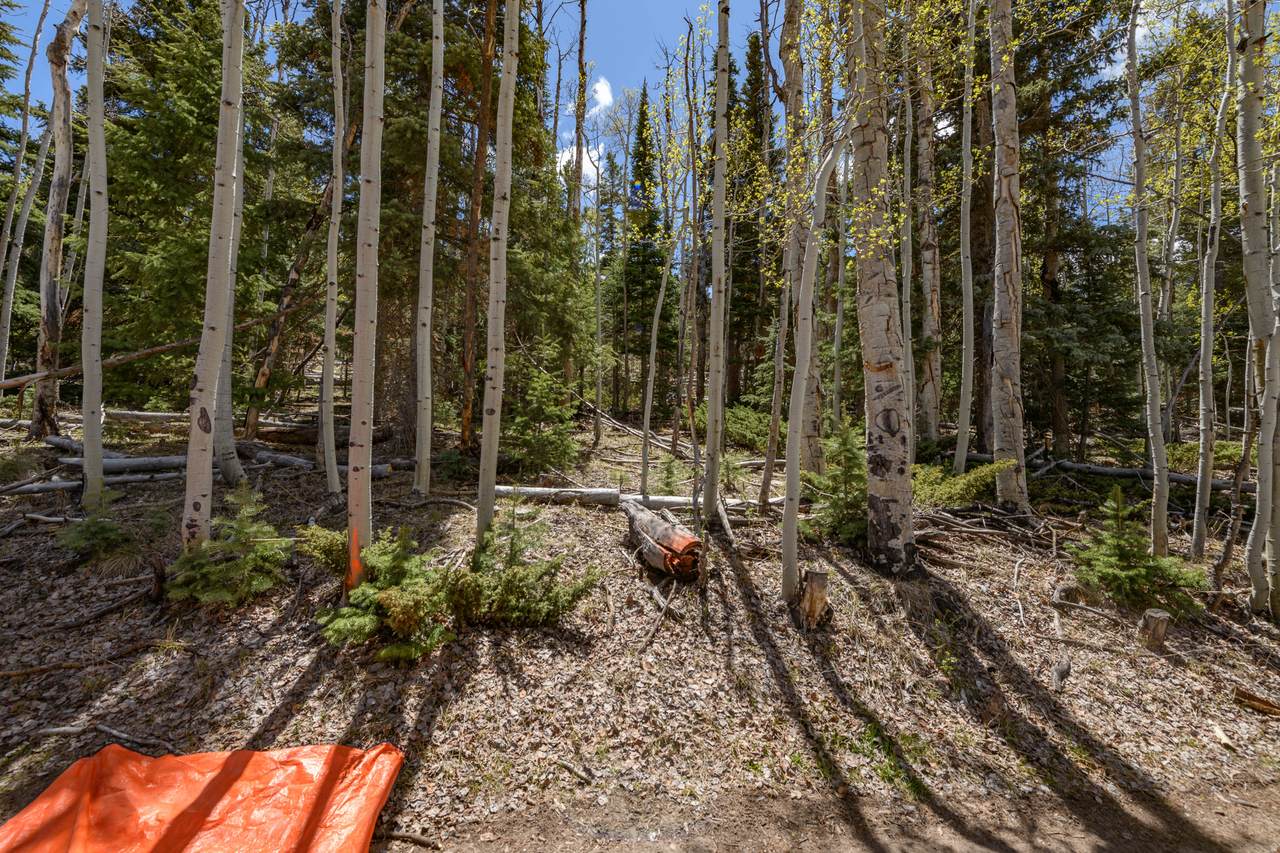 https://bt-photos.global.ssl.fastly.net/wasatch/1280_boomver_1_2160552-1.jpg