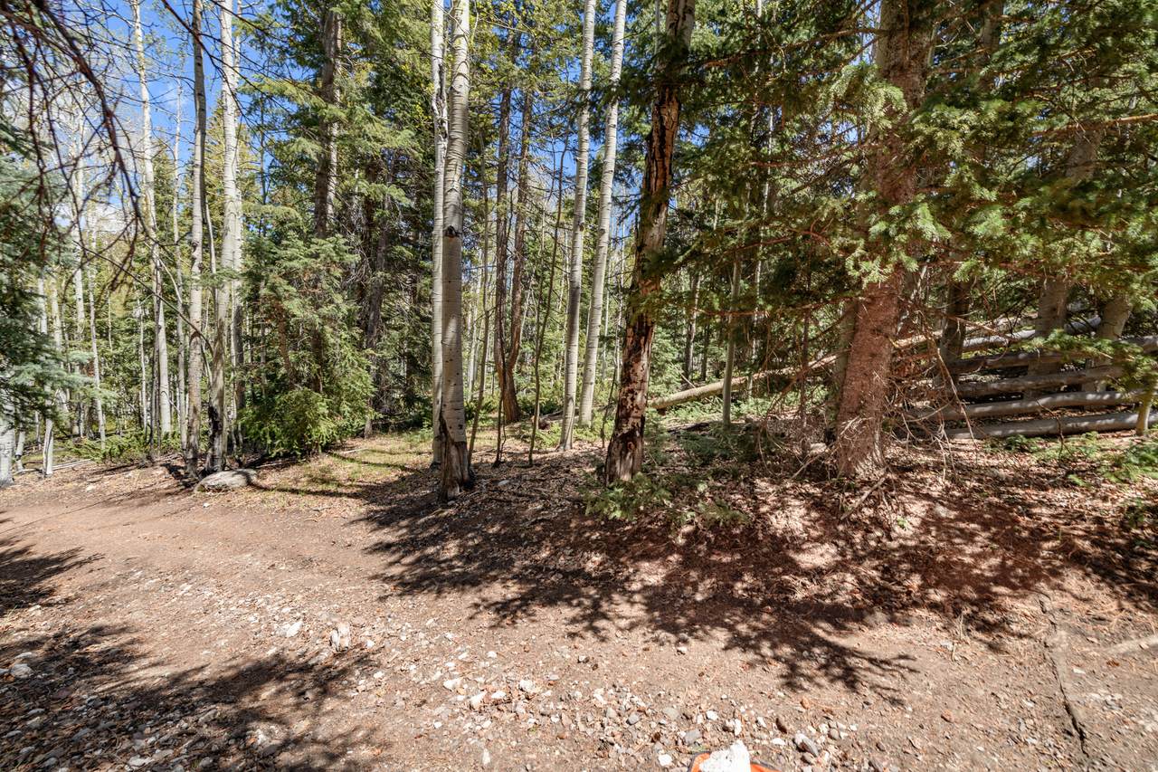 https://bt-photos.global.ssl.fastly.net/wasatch/1280_boomver_1_2160554-1.jpg