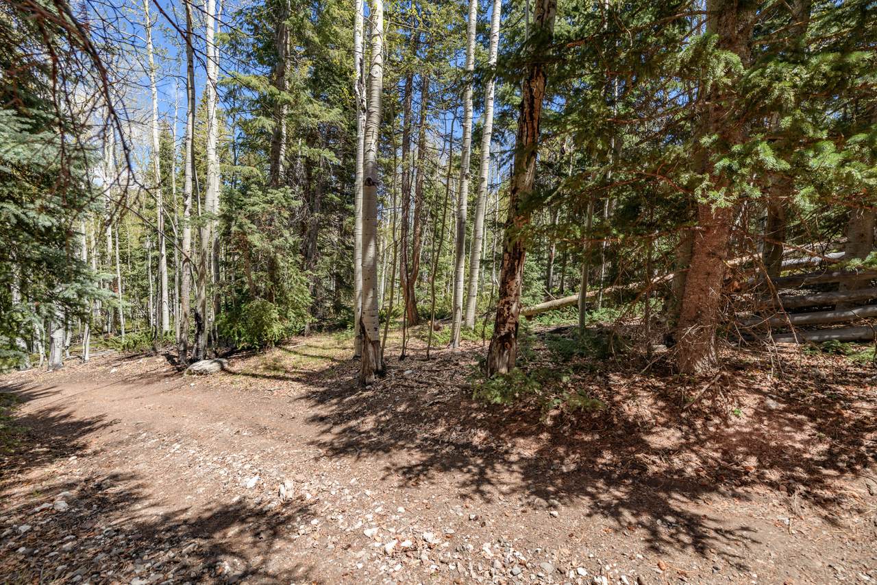 https://bt-photos.global.ssl.fastly.net/wasatch/1280_boomver_1_2160554-1.jpg