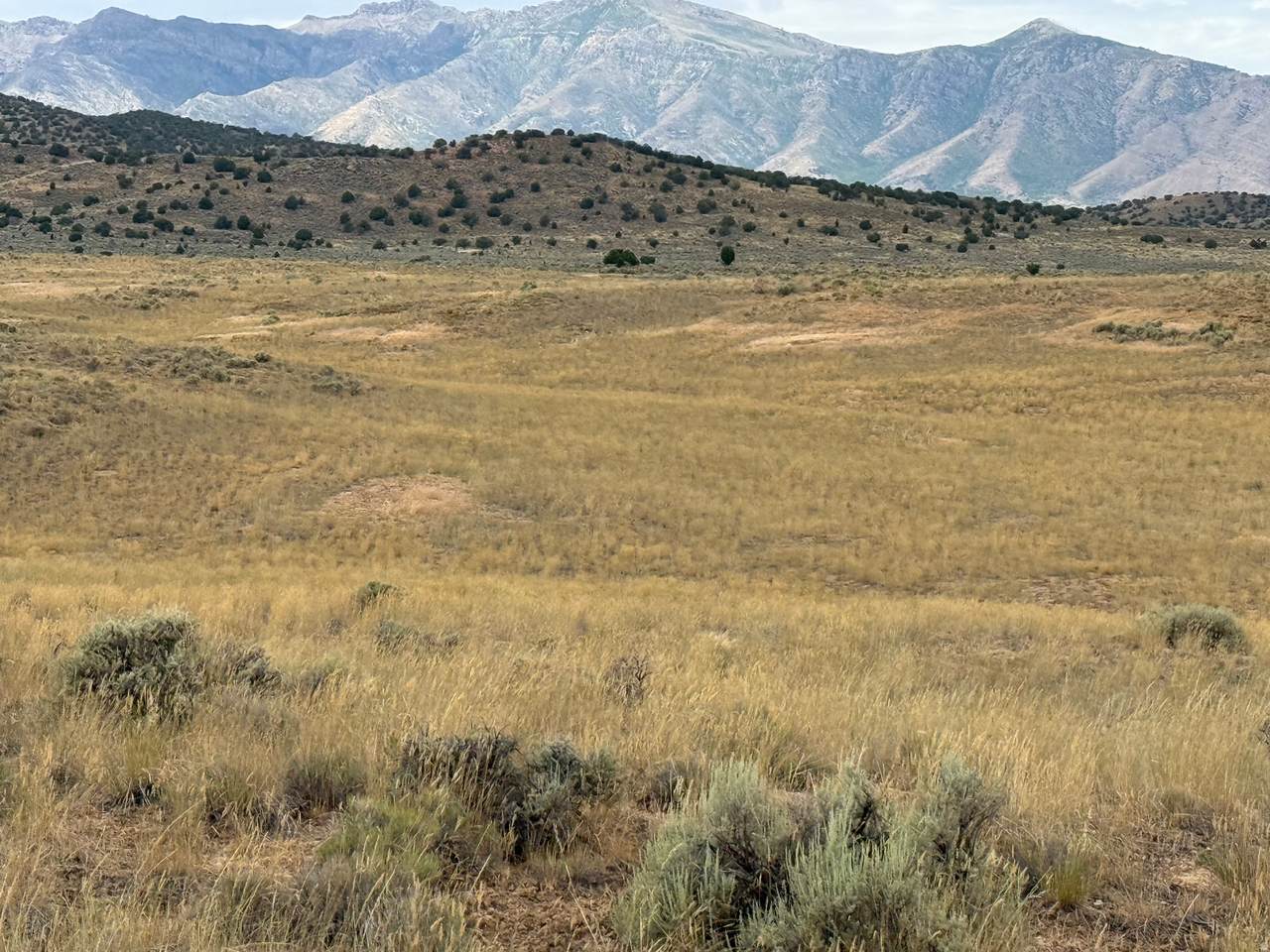 https://bt-photos.global.ssl.fastly.net/wasatch/1280_boomver_1_2160650-1.jpg