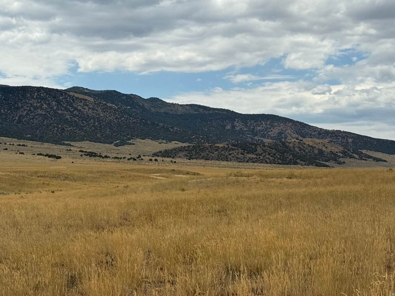 https://bt-photos.global.ssl.fastly.net/wasatch/orig_boomver_1_2160839-1.jpg
