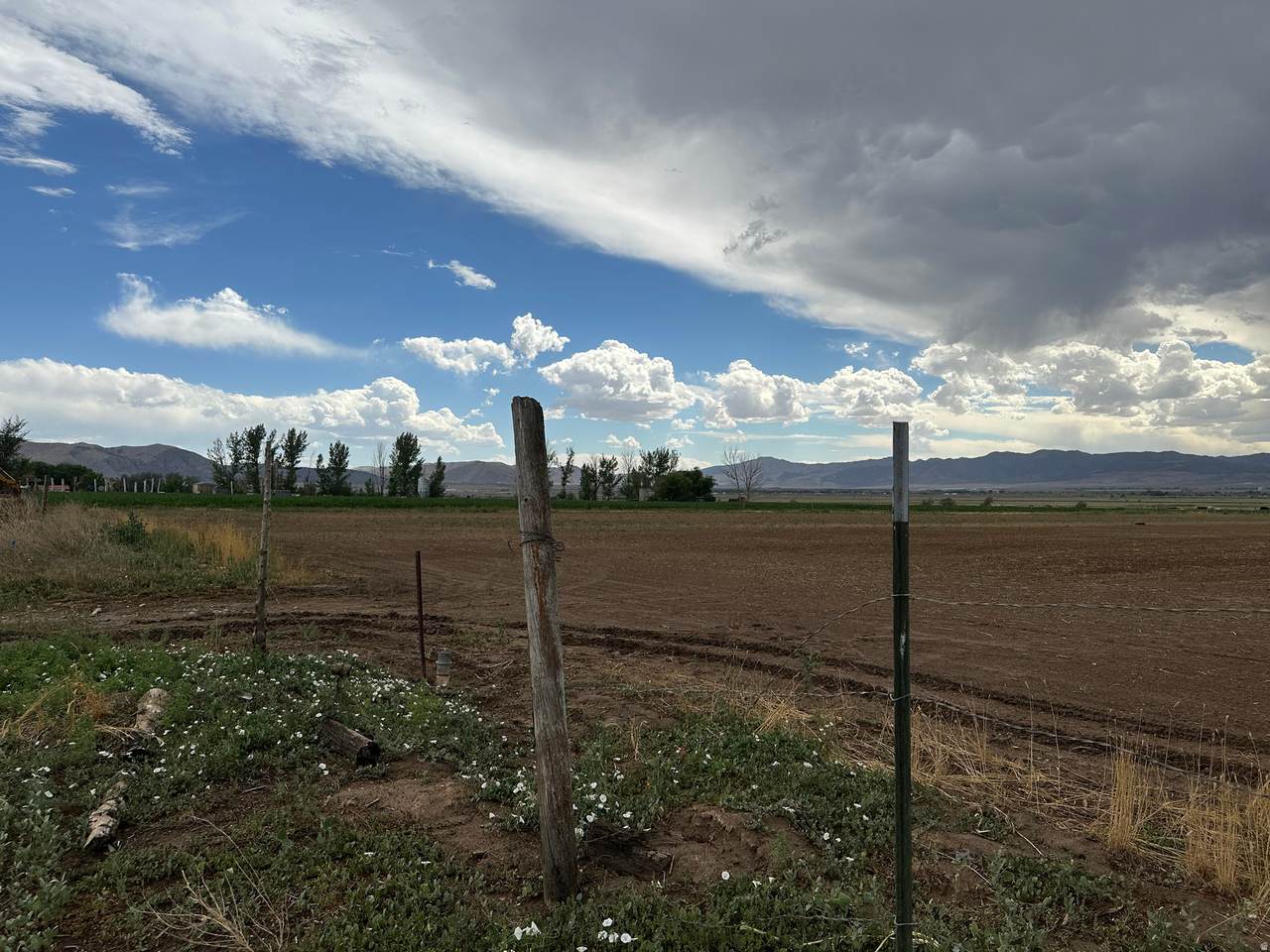 https://bt-photos.global.ssl.fastly.net/wasatch/1280_boomver_1_2160877-1.jpg
