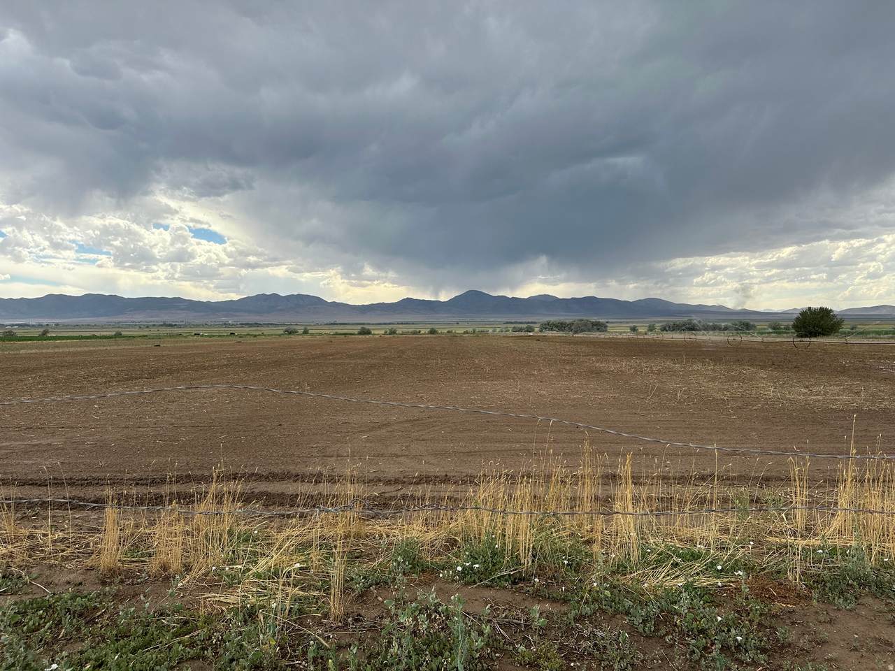 https://bt-photos.global.ssl.fastly.net/wasatch/1280_boomver_1_2160877-1.jpg