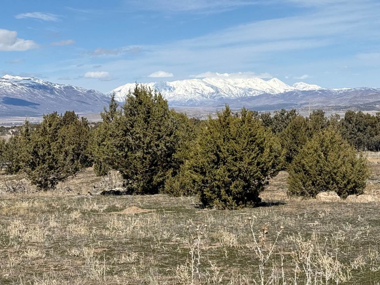 https://bt-photos.global.ssl.fastly.net/wasatch/orig_boomver_1_2160900-1.jpg