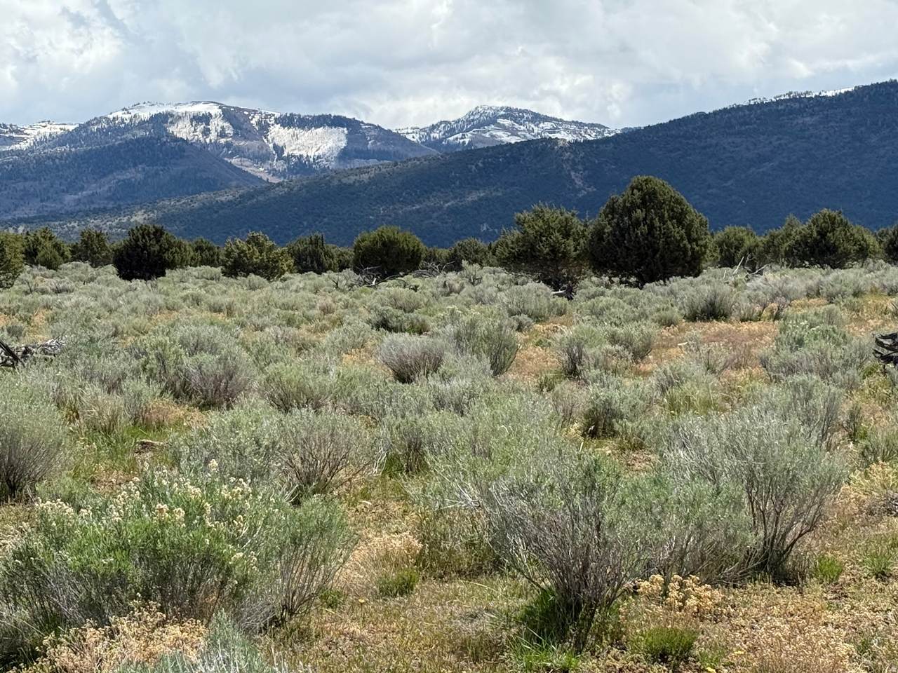 18 Old Highway 89 - Photo 1