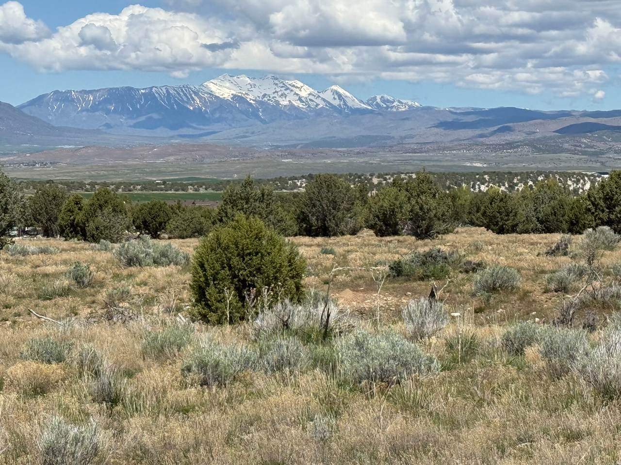 19 Old Highway 89 - Photo 1