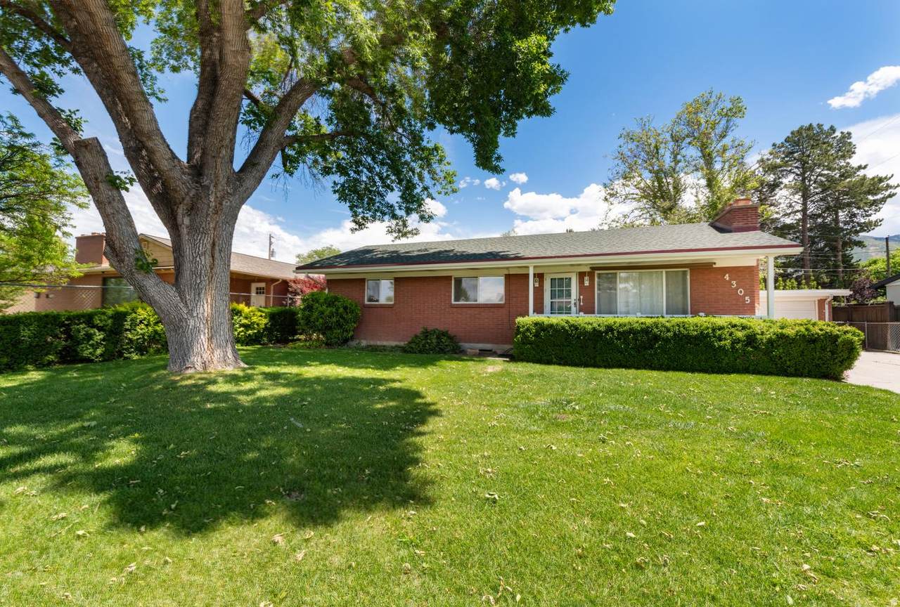 4305 Noal Dr - Photo 1