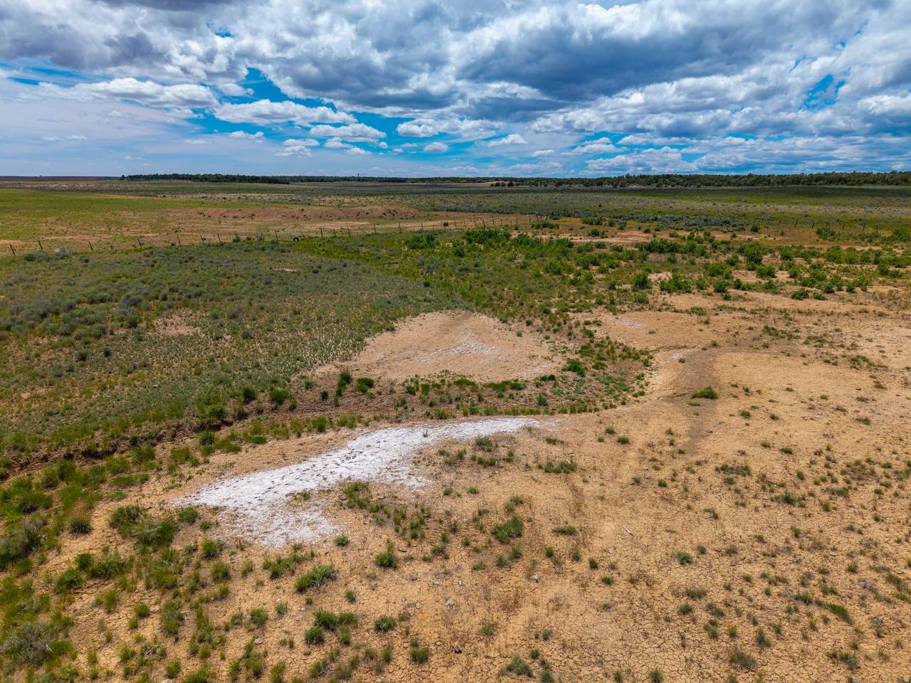 13000 Highway 491 - Photo 1