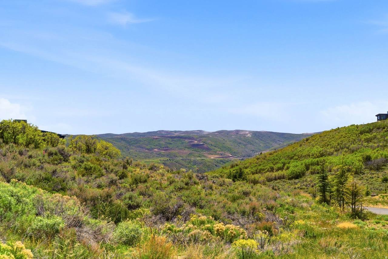 2490 Sundowner Ridge Dr - Photo 1