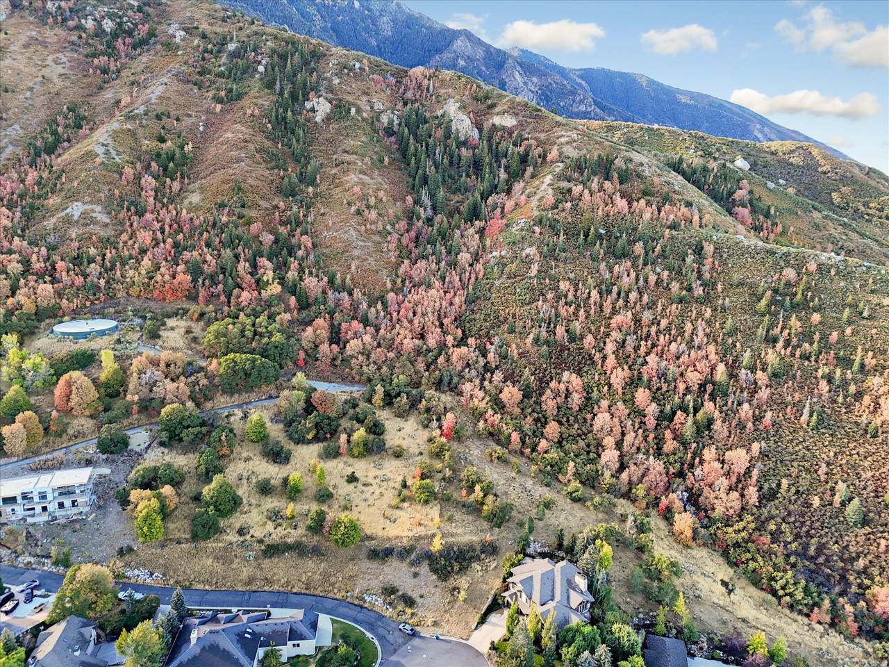 https://bt-photos.global.ssl.fastly.net/wasatch/1280_boomver_1_2161959-1.jpg