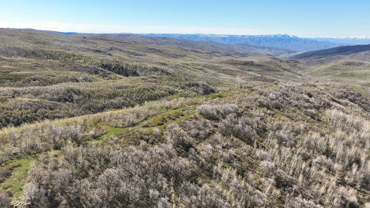 1 Hwy 39 - Photo 1
