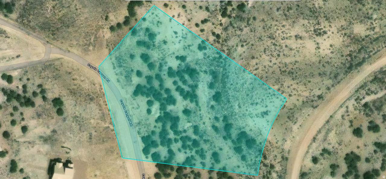 19160 Coyote Canyon Loop - Photo 1