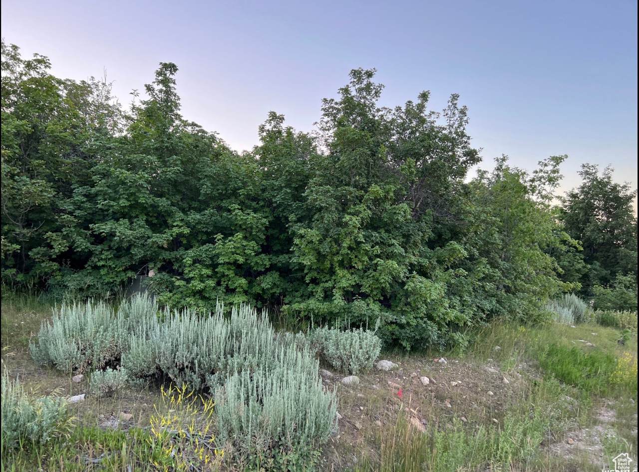 58 Juniper Dr - Photo 1