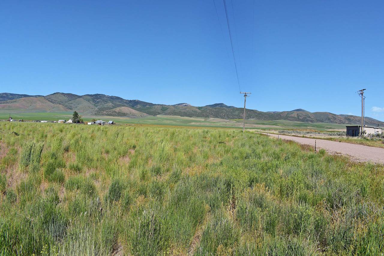 https://bt-photos.global.ssl.fastly.net/wasatch/1280_boomver_1_2162610-1.jpg