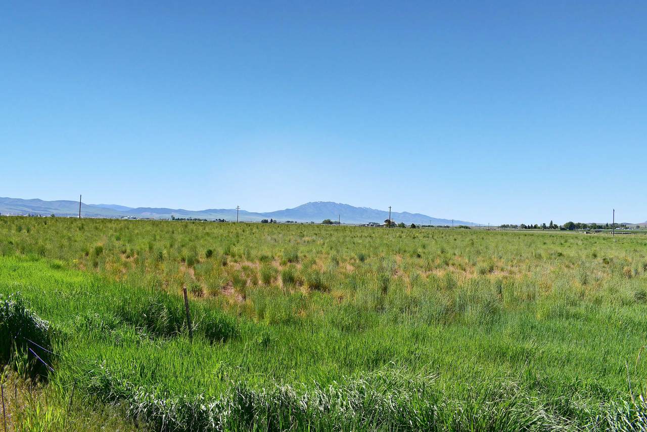 https://bt-photos.global.ssl.fastly.net/wasatch/1280_boomver_1_2162610-1.jpg