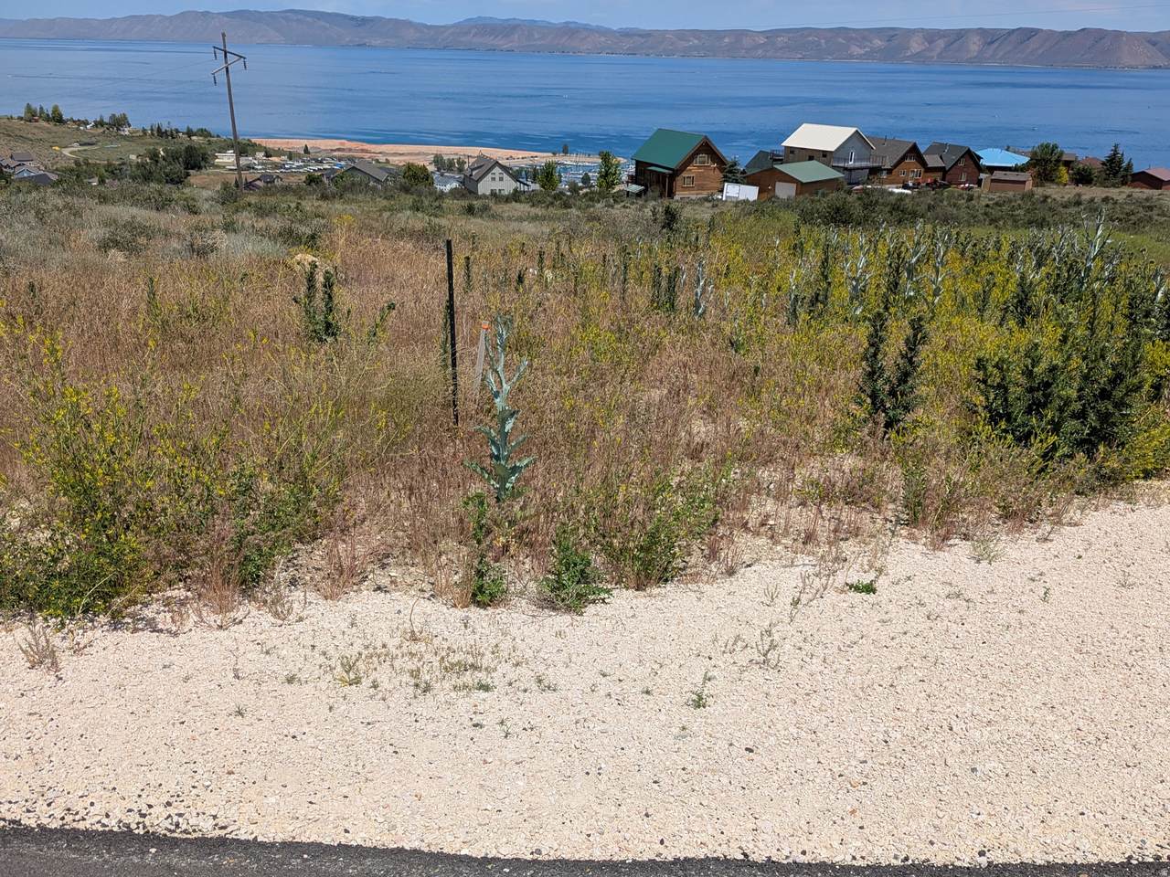 https://bt-photos.global.ssl.fastly.net/wasatch/1280_boomver_1_2162663-1.jpg