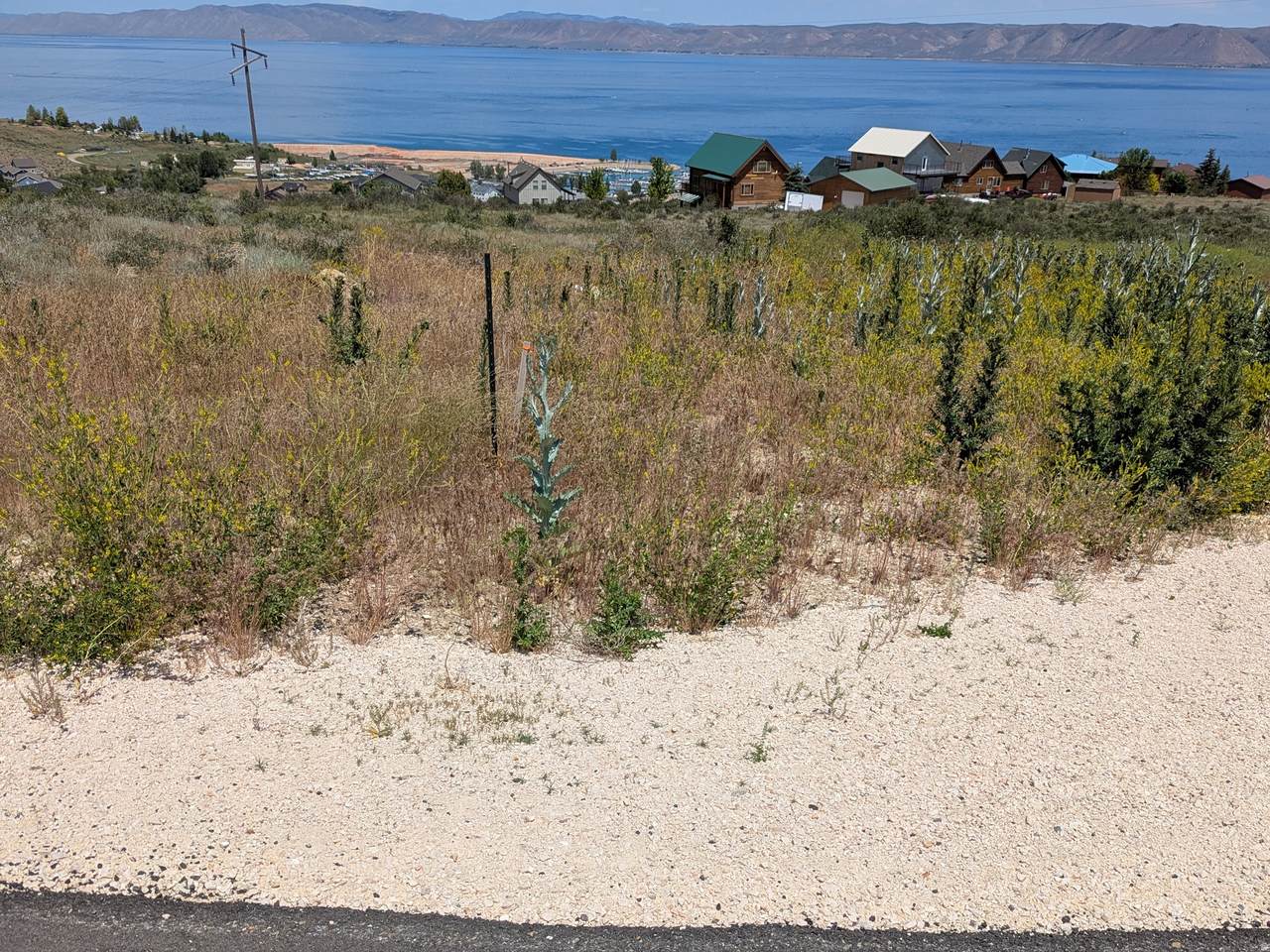 https://bt-photos.global.ssl.fastly.net/wasatch/1280_boomver_1_2162665-1.jpg