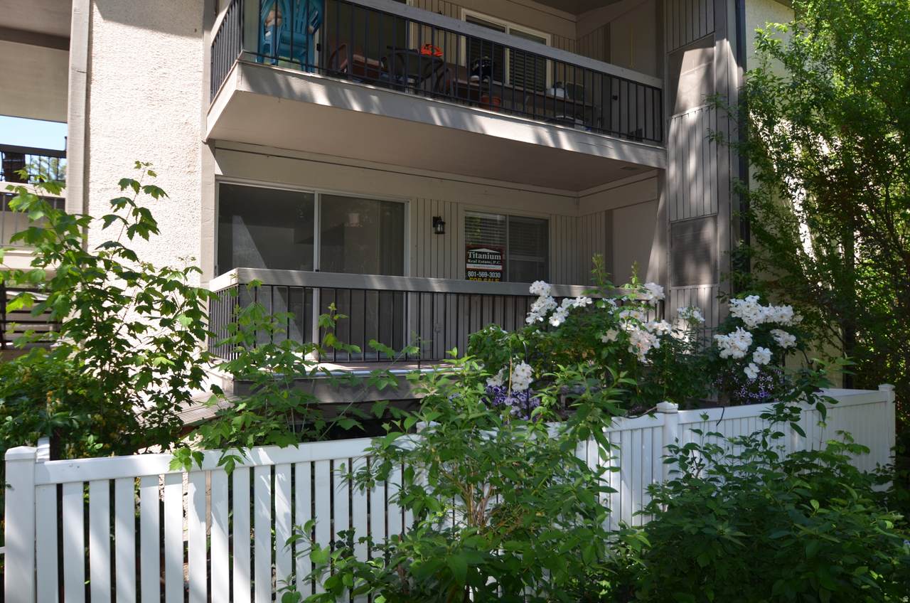 1557 Waterbury Dr - Photo 1